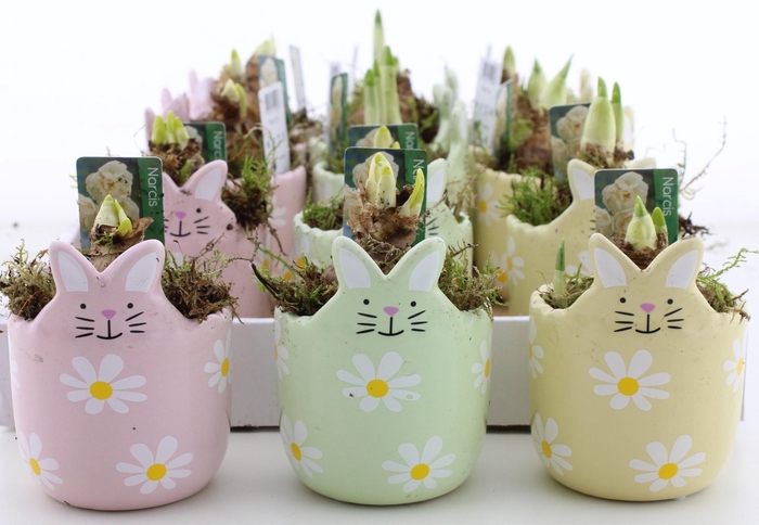 <h4>ARR N TETE A TETE</h4>