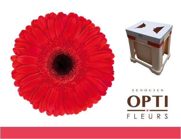 <h4>GE GR DYNAMIC-Water</h4>