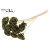 Shola Karnish Flower 6cm on stem Wax Olive