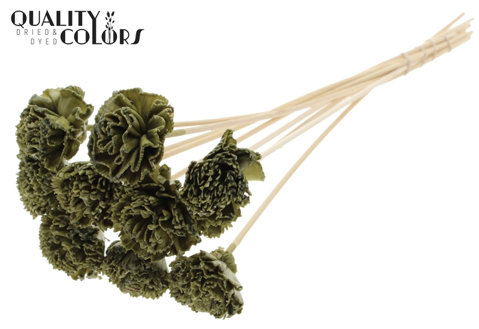 <h4>Shola Karnish Flower 6cm on stem Wax Olive</h4>