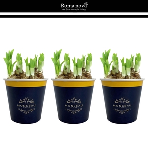 1031 - Cup Monceau Fleurs