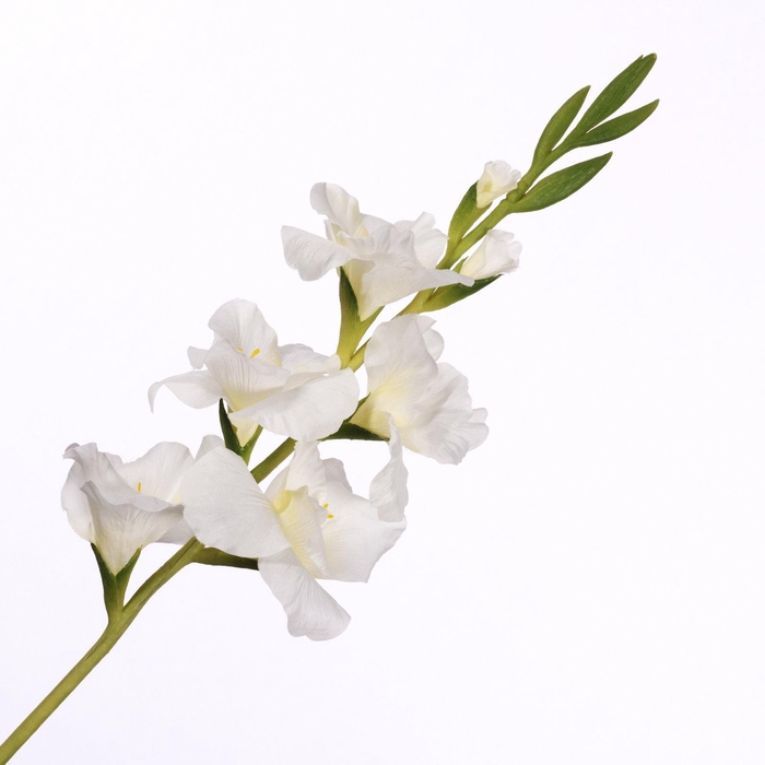 <h4>Gladiolus Spray Cream FL440353CRM</h4>