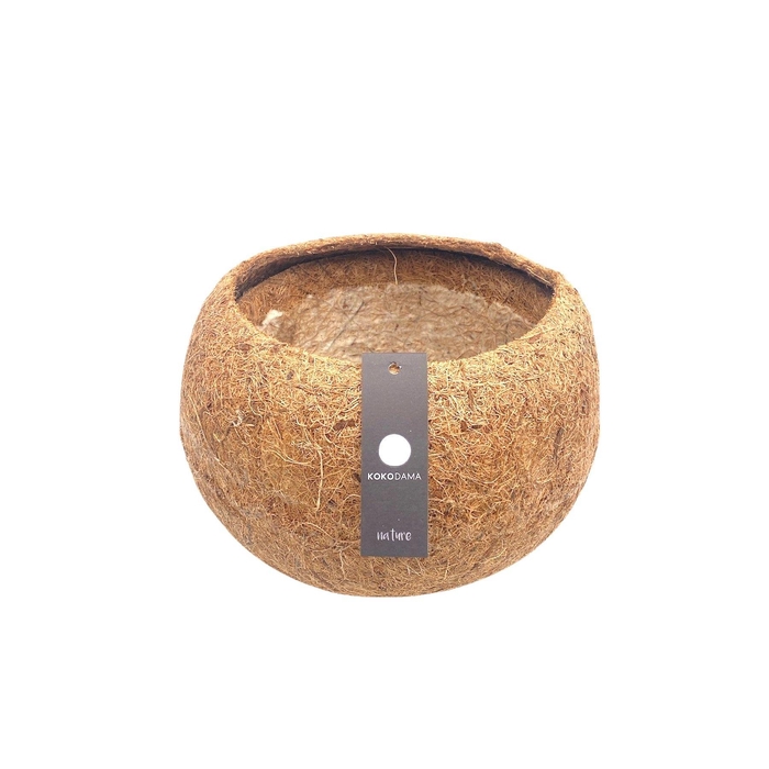 <h4>Kokodama Empty XXL 25 cm (No String)</h4>