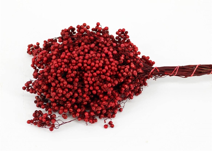<h4>Schinus M Pt Carnation Red Bunch</h4>