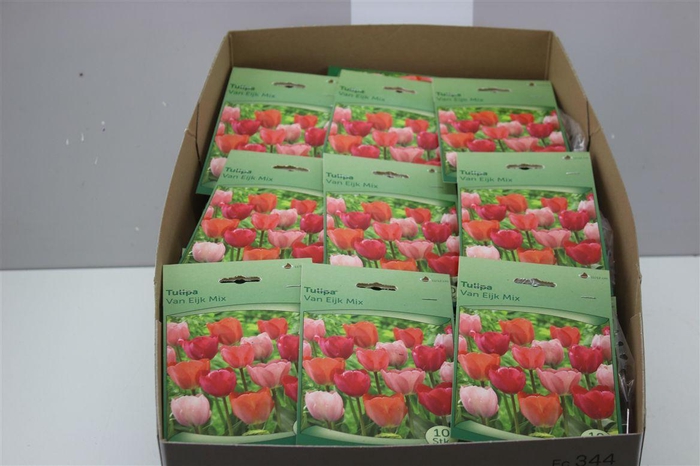 <h4>Bloembol Tulipa Mixed In Zakjes</h4>