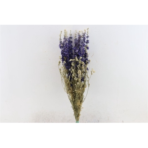 Dried Delphinium Blue Extra Bunch