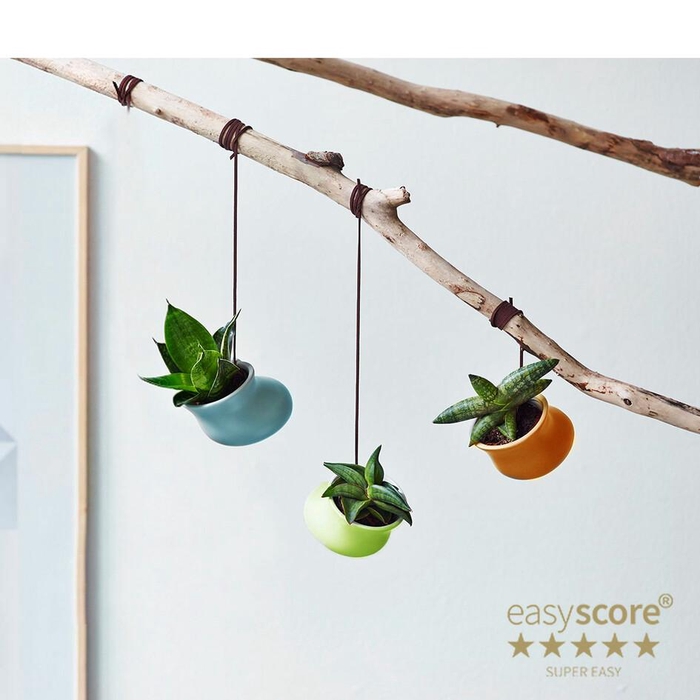 <h4>Color Drops Creations P6</h4>