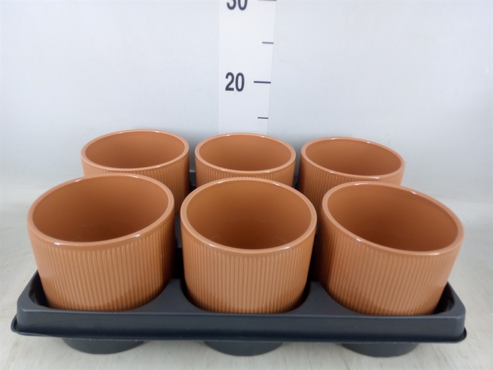 <h4>Pot   ...Keramische H%</h4>