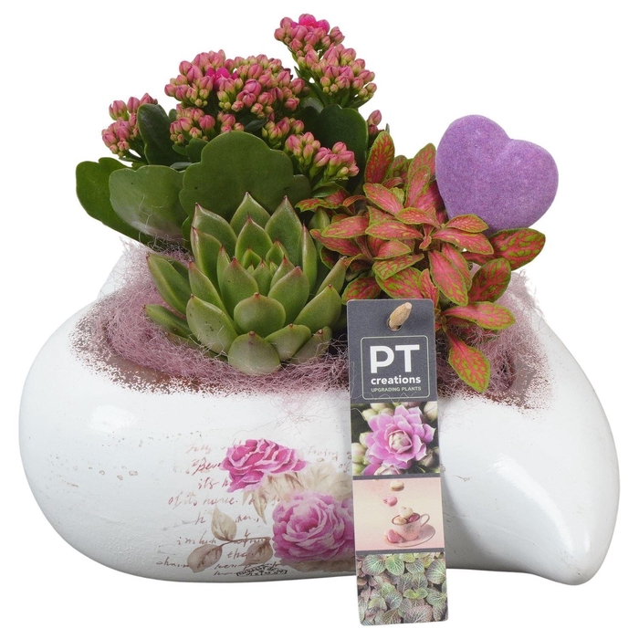 <h4>Arr.    Planten  L%</h4>