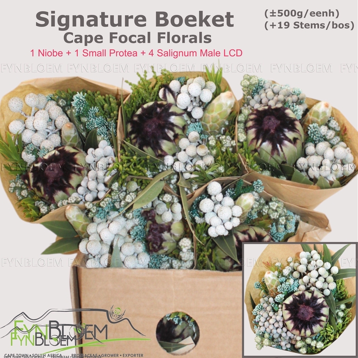 <h4>PROTEA PER BOS</h4>