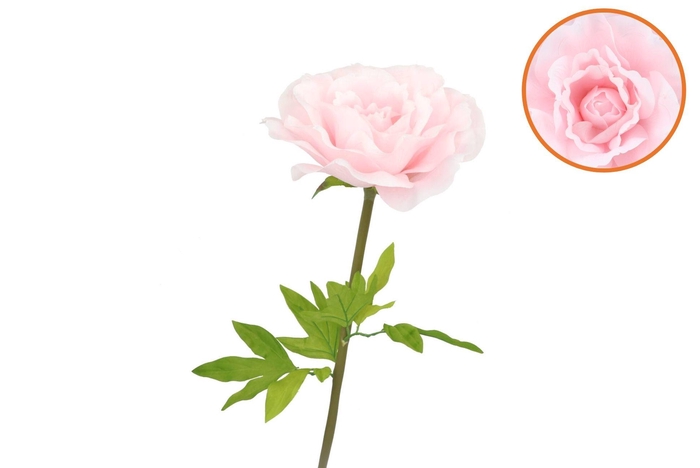 Silk Amazing Rose Beauty Light Pink Xxl 50x120cm