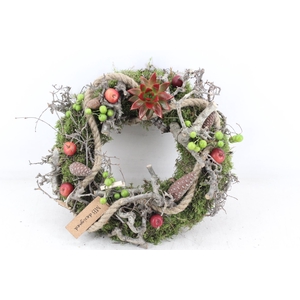 arr2 MB - Krans L ech. rood