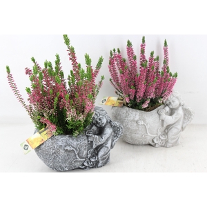 arr4 Outdoor JS - Cement engel mix