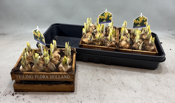 <h4>ARR N TETE A TETE</h4>