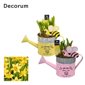 Narcis HL18557 gieter mini GM