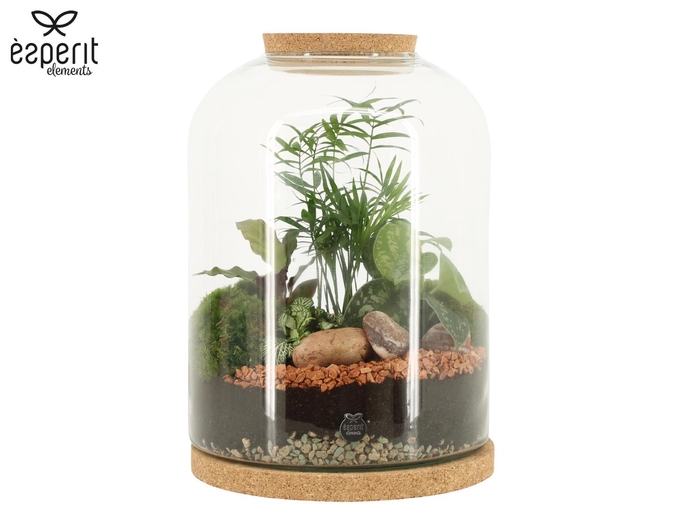 <h4>90552: Terrarium arrangement</h4>