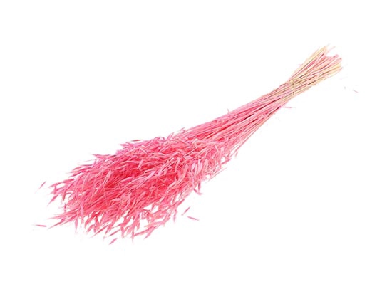 Bunch Avena Salvaje Slv 100g