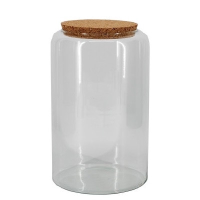 <h4>Glass Eco terrarium Mari d14/19*30cm</h4>