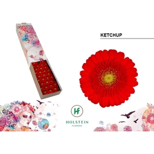 Germini Ketchup Doos