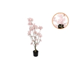 Silk Cherry Blossom Tree Light Pink 90cm