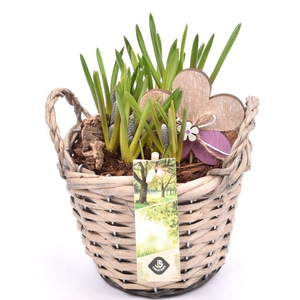 Wilg mand grijs met oor 14cm