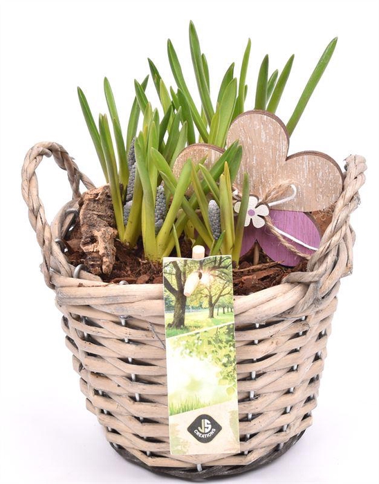 <h4>Wilg mand grijs met oor 14cm</h4>