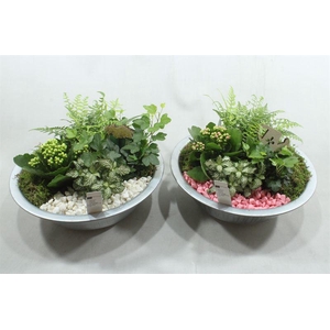 3454  ZINK INDOOR RO/WIT