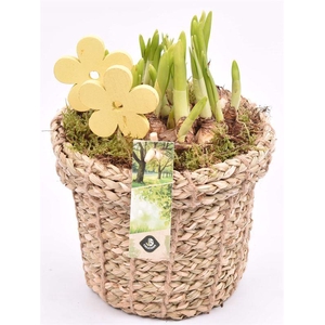 Touwmand met rand 17cm