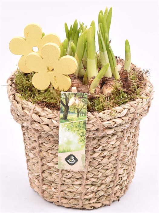 <h4>Touwmand met rand 17cm</h4>