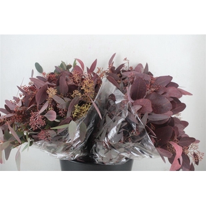 Euca Populus Berry Short Abs Red 150g Pbs