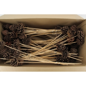 Stick Pine Cone Natural Large