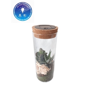 Arr.   Kamerplant Groen L%