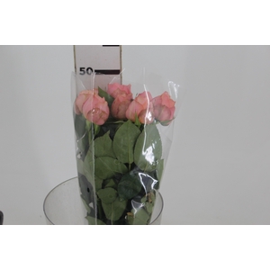 GARDEN ROMANTIC ANTIKE