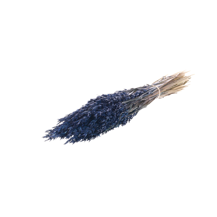 <h4>Haver (avena) Dark Blue</h4>