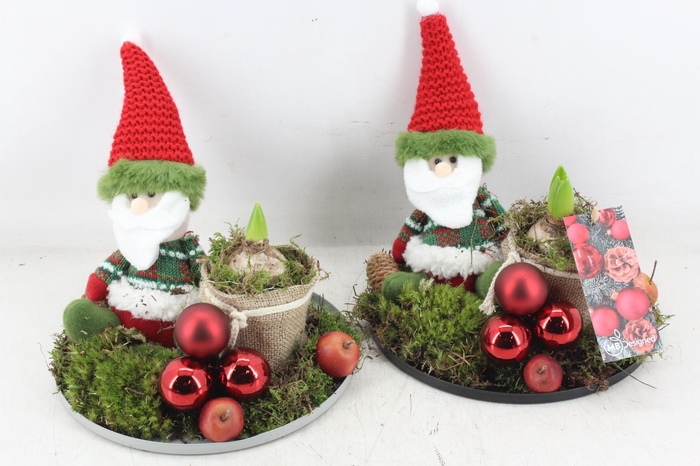 <h4>arr4 Hyacint MB - Santa kl. op plateau 285/3</h4>