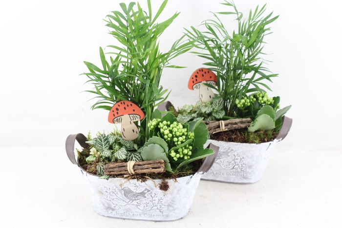 <h4>arr2 TD - Zink ovaal jardin - wit</h4>