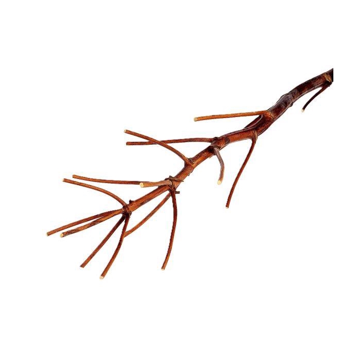 <h4>Branch Ferule L175</h4>