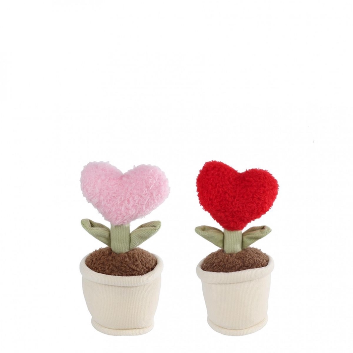 <h4>Valentine Plant heart in pot d8*16cm</h4>