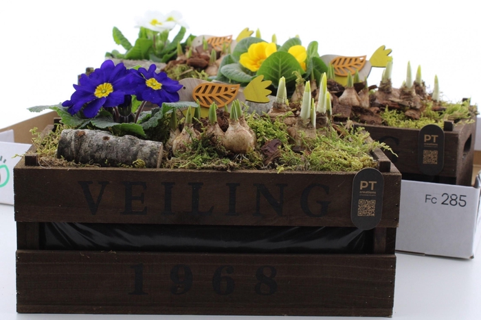 <h4>ARR PL IN SCHAAL</h4>