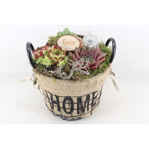 arr4 Semp MB - Jute/gaas home mand 344/3