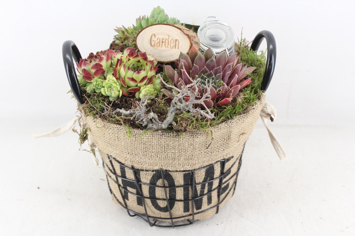 <h4>arr4 Semp MB - Jute/gaas home mand 344/3</h4>