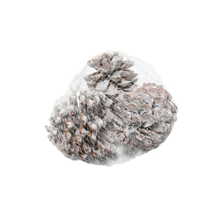 <h4>Pinecone Pinea L9/12 3 Pcs</h4>