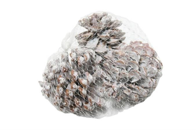 Pinecone Pinea L9/12 3 Pcs