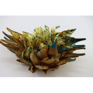 Dried Artz Cynara Heads Van Gogh