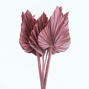 Dried Palm Spear Rose Goud