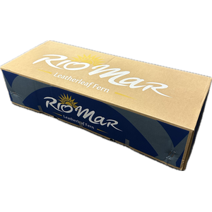LEDERVAREN EXTRA VACUUM RIO MAR
