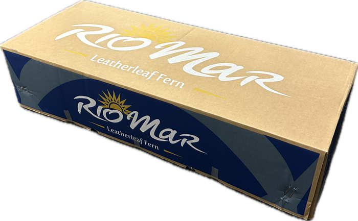 LEDERVAREN EXTRA VACUUM RIO MAR