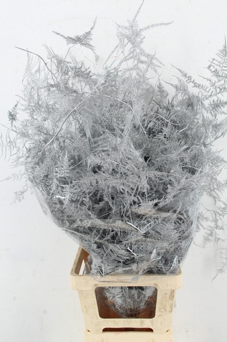 <h4>ASP OV KLB H%</h4>