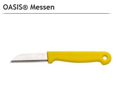 <h4>OASIS 32-06103 FLORISTENMES X10</h4>