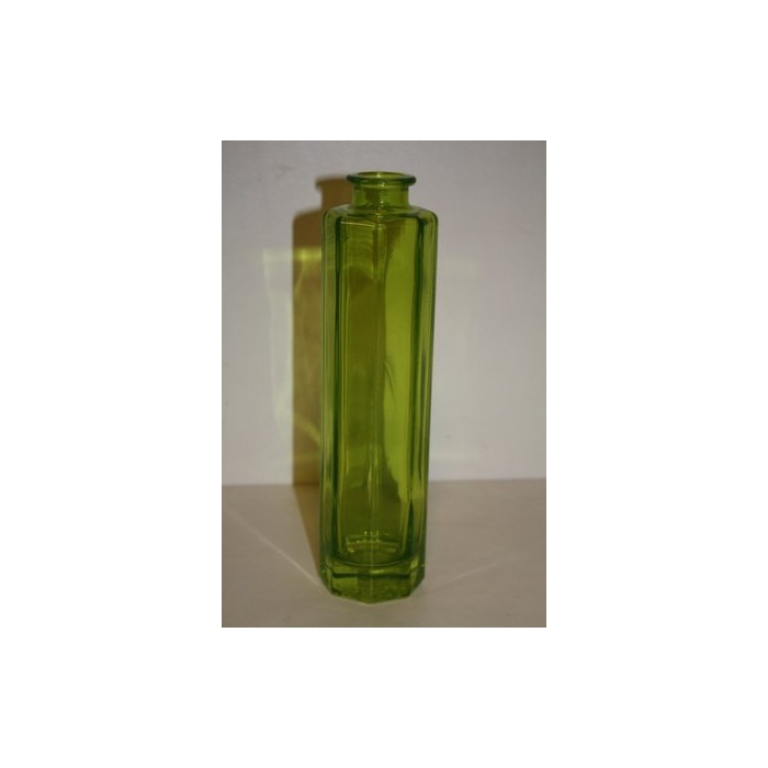 <h4>VAASJE GROEN H23.5 D6 8-HOEKIG</h4>